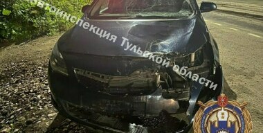 Фото: telegram-канал Госавтоинспекции Тульской области