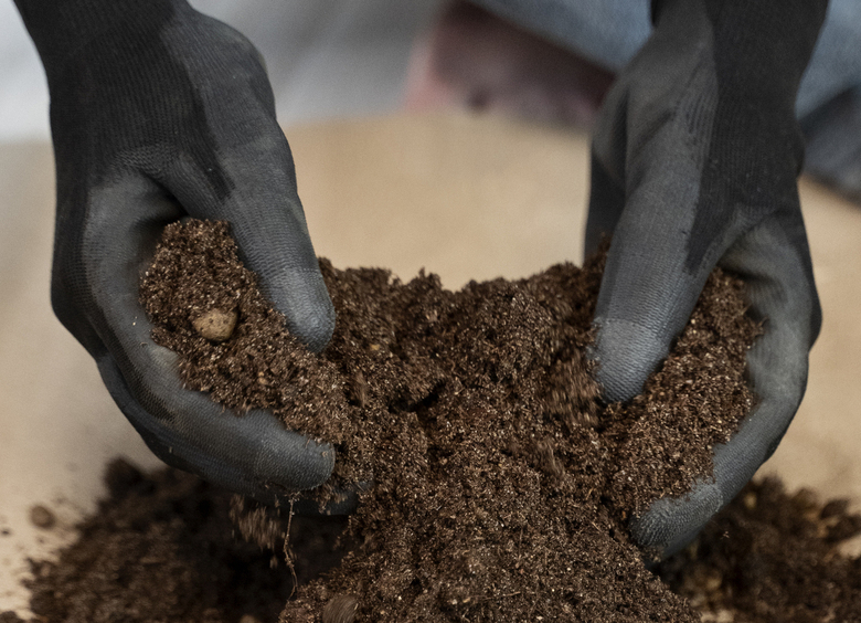 Изображение Коварная месть: женщины измазали кроссовер Infinity конским навозом