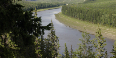 Фото: globallookpress.com