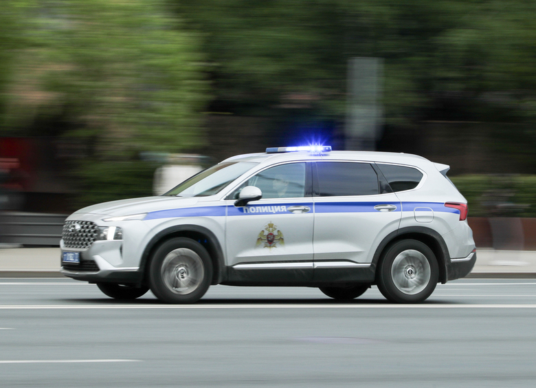 Изображение Хозяйка ищет двух кошек, сбежавших из попавшего в ДТП автомобиля в Карелии