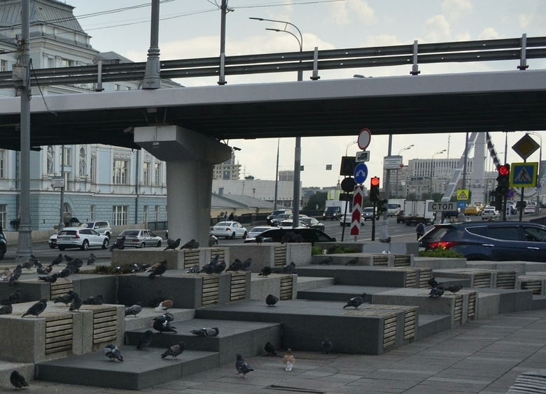 Изображение Штраф «за пробку»: МАДИ продолжает «рубить бабло» на вымышленных нарушениях водителей