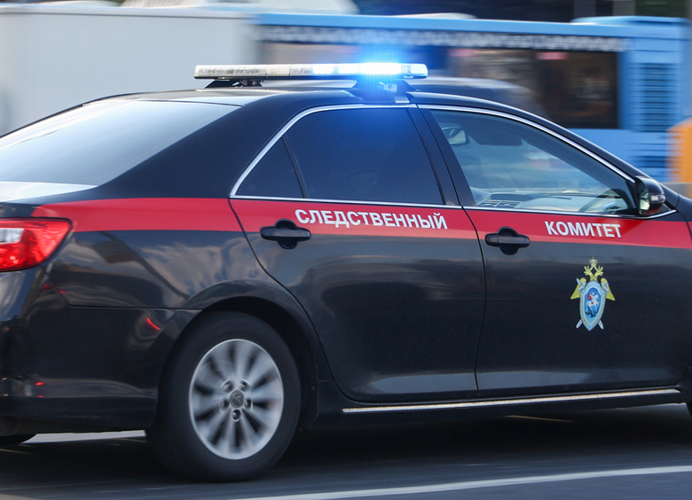 Изображение СК взял на контроль расследование халатности после смертельного ДТП в Воронеже