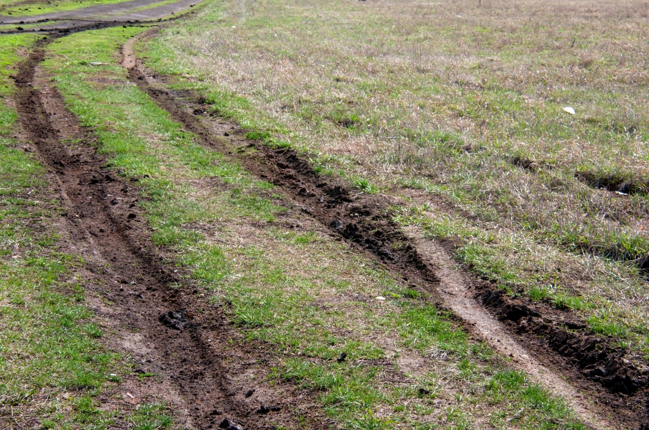 Фото: globallookpress.com