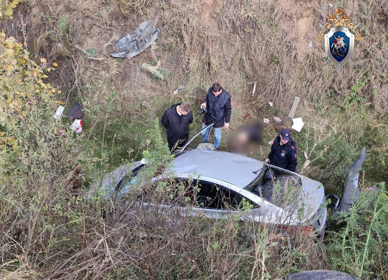 Изображение Пассажир такси зарезал водителя и угнал его автомобиль в Ульяновской области