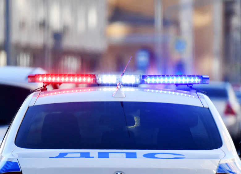 Изображение Желание поесть шаурмы привело к уголовному делу для водителя под Мурманском