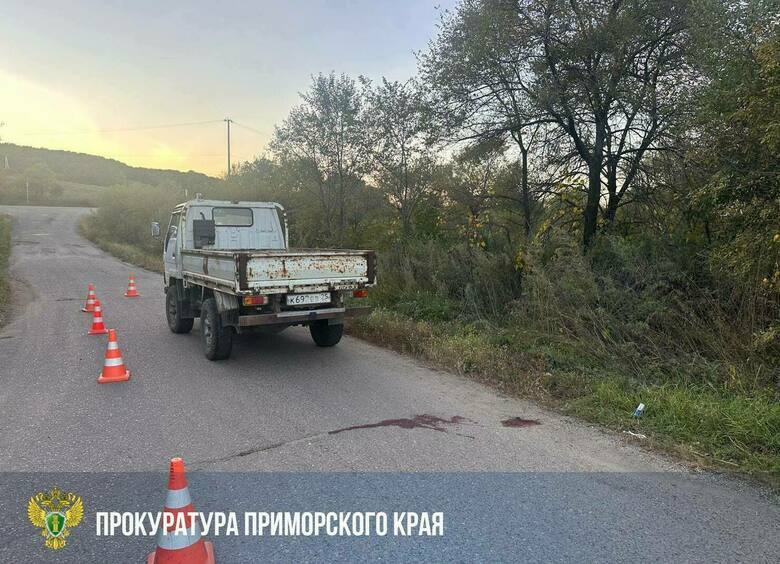 Изображение Девочка выпала из кузова грузовика и погибла в Приморье