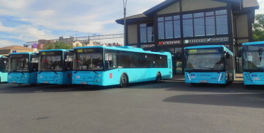 И субсидии не помогли: Россия, как троллейбусная держава, сдает позиции