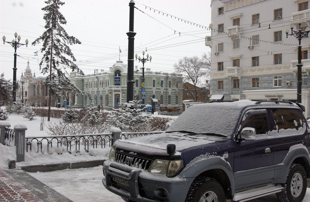Фото: Alexandr Altukhov/globallookpress.com