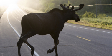 Фото: Serguei Fomine/globallookpress.com