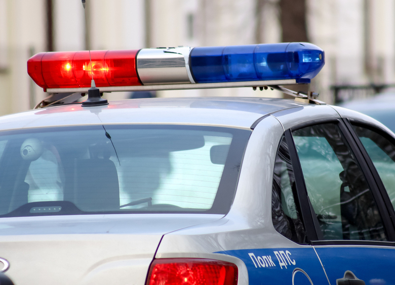 Изображение Голубь стал причиной массового ДТП в Хабаровске