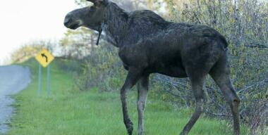 Фото: P. Henry/globallookpress.com