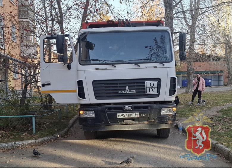 Изображение Мусоровоз насмерть задавил пенсионерку в Свердловской области