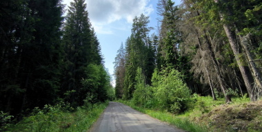 Фото: Maksim Konstantinov/globallookpress.com