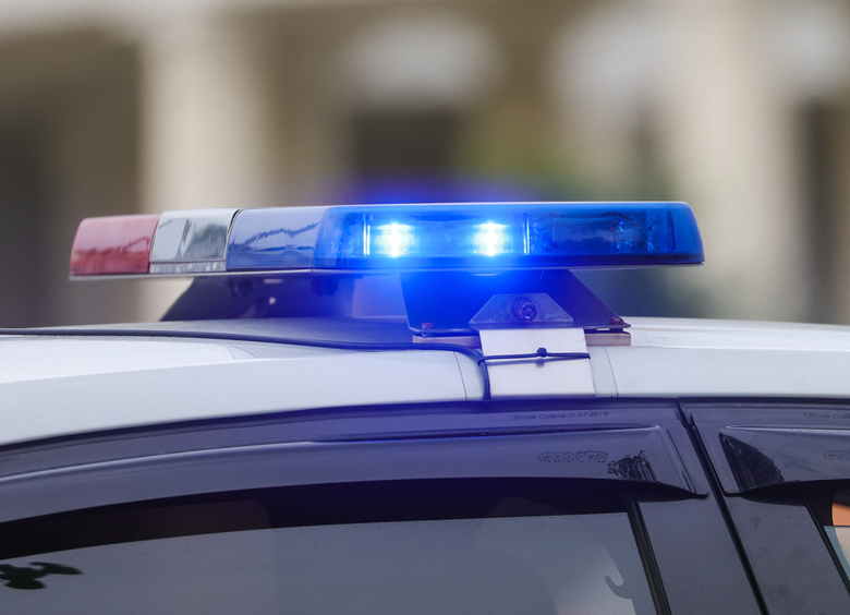 Изображение Пользователь каршеринга устроил ДТП, вырвав несколько деревьев с корнем в Тюмени