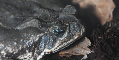 Фото: Ilya Moskovets/globallookpress.com