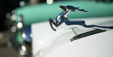 Фото globallookpress.com