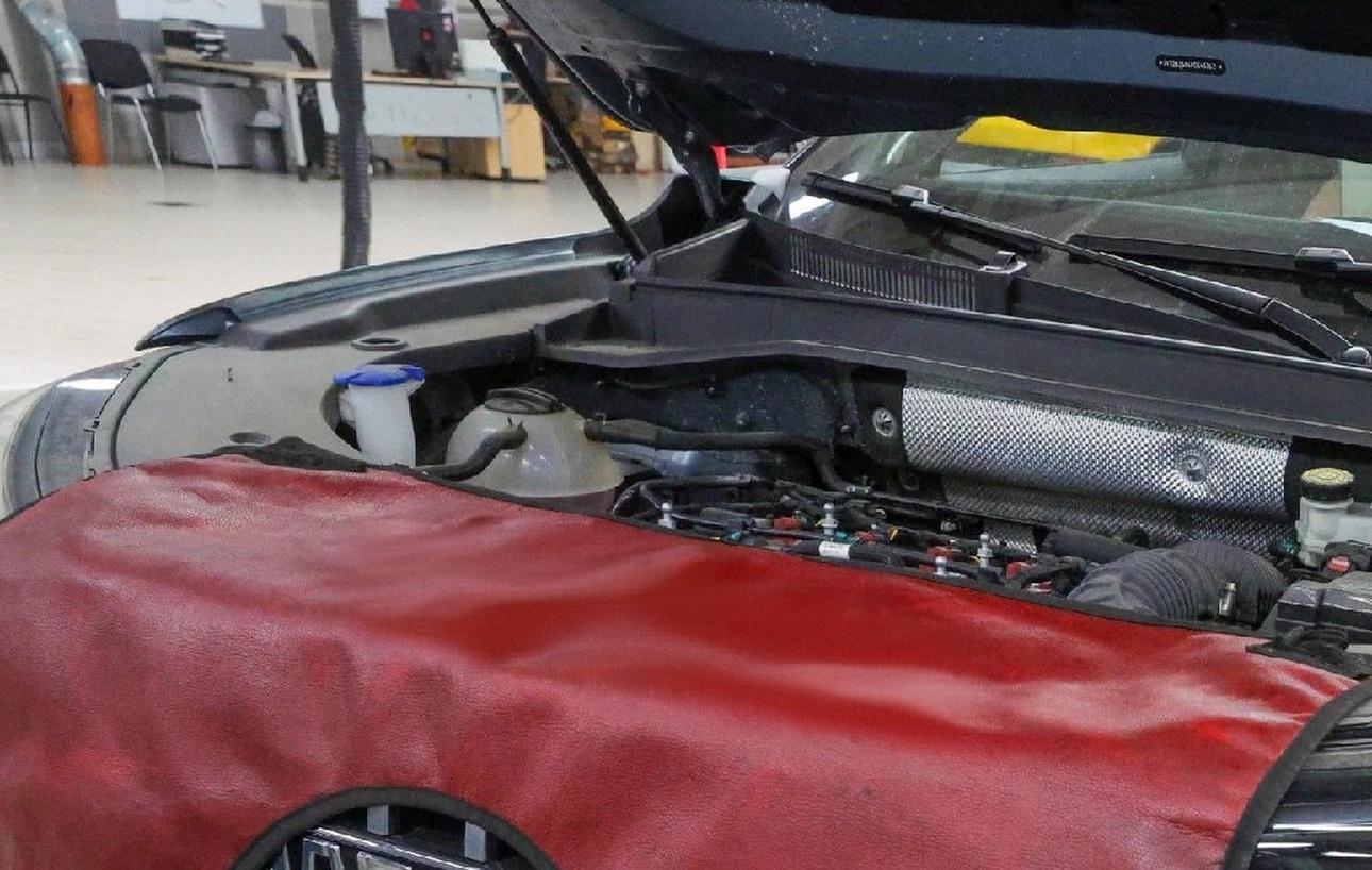 Фото: Shatokhina Natalia/globallookpress.com