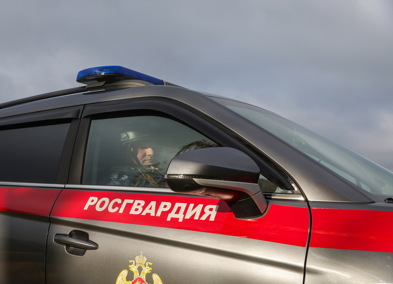 Изображение Голые супруги устроили драку прямо на проезжей части в Подмосковье