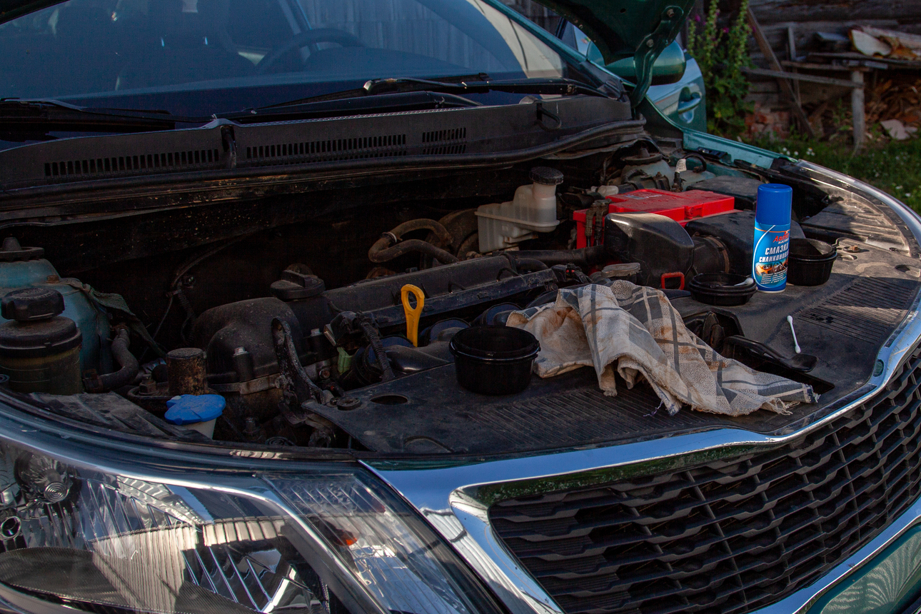 Фото: Oksana Korol/globallookpress.com