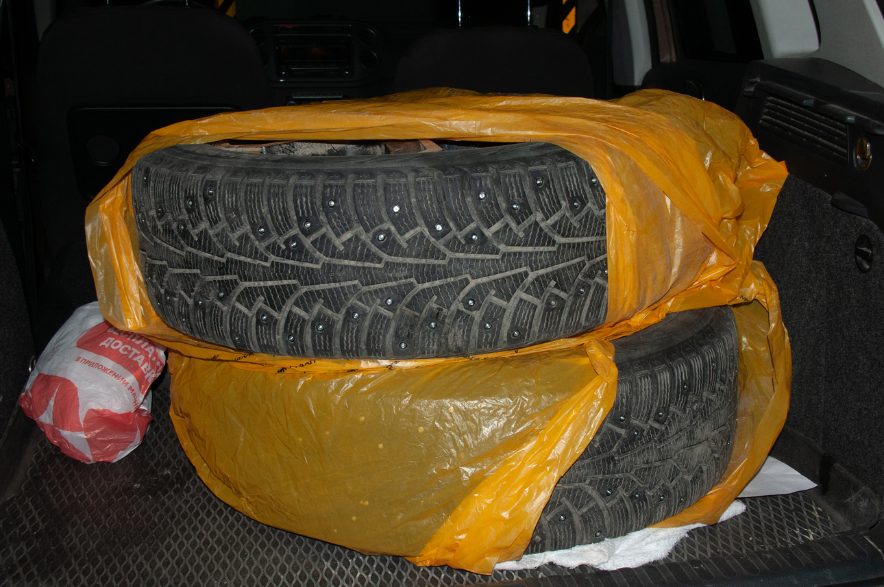 Фото: Svetlana Vozmilova/globallookpress.com