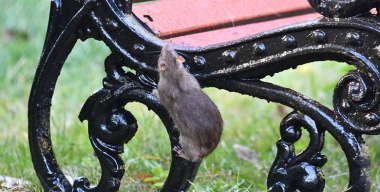 Фото: globallookpress.com