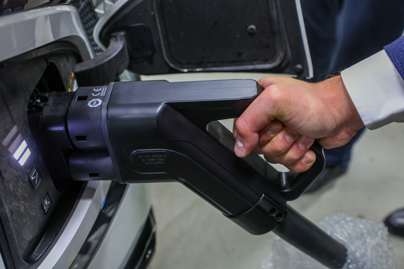 Фото Belkin Alexey/globallookpress.com