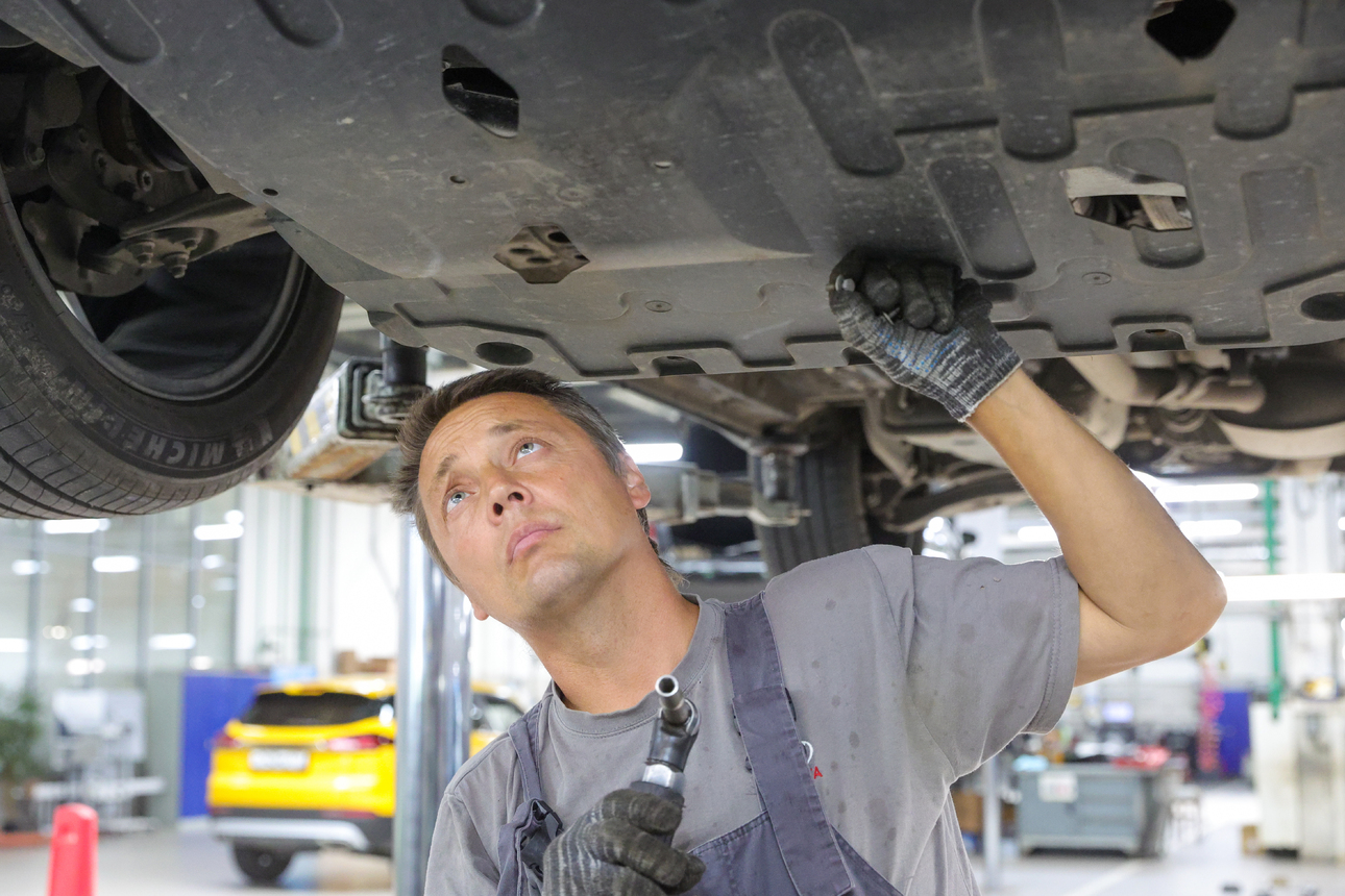 Фото Shatokhina Natalia/globallookpress.com