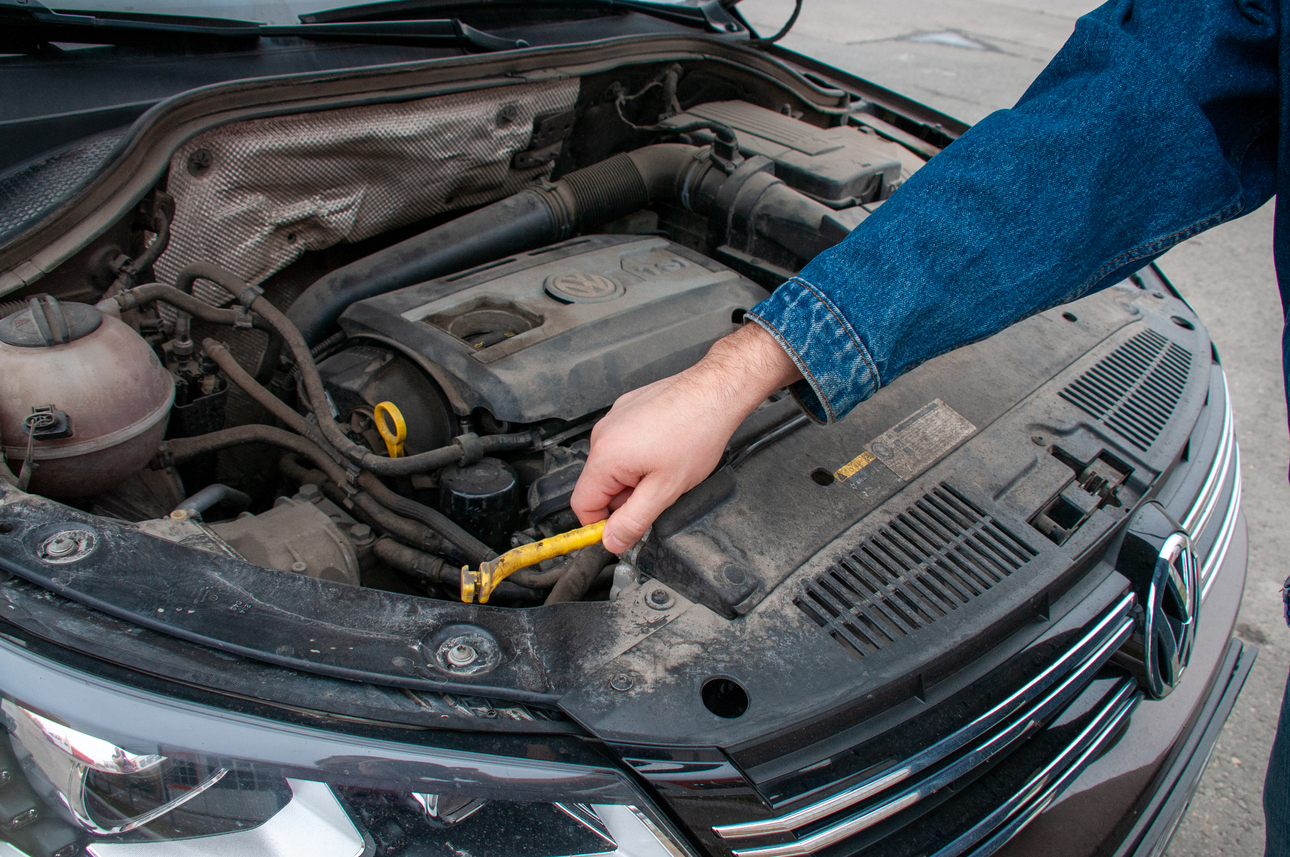 Фото: Svetlana Vozmilova/globallookpress.com