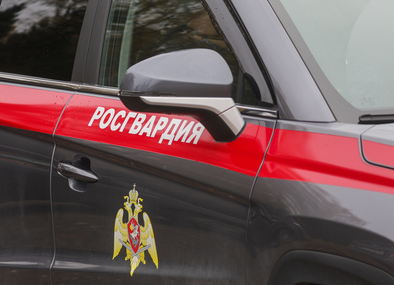 Изображение Наркоманы пытались скрыться от Росгвардии на машине без госномеров