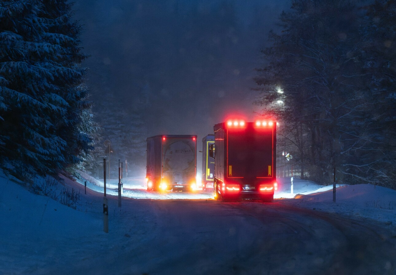 Фото Silas Stein/globallookpress.com