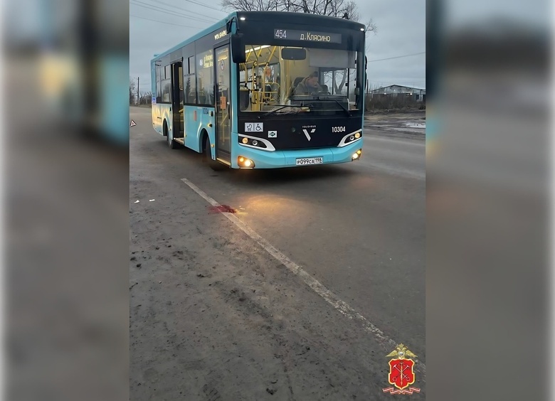 Изображение Автобус сбил мужчину, перебегавшего дорогу, на трассе под Санкт-Петербургом