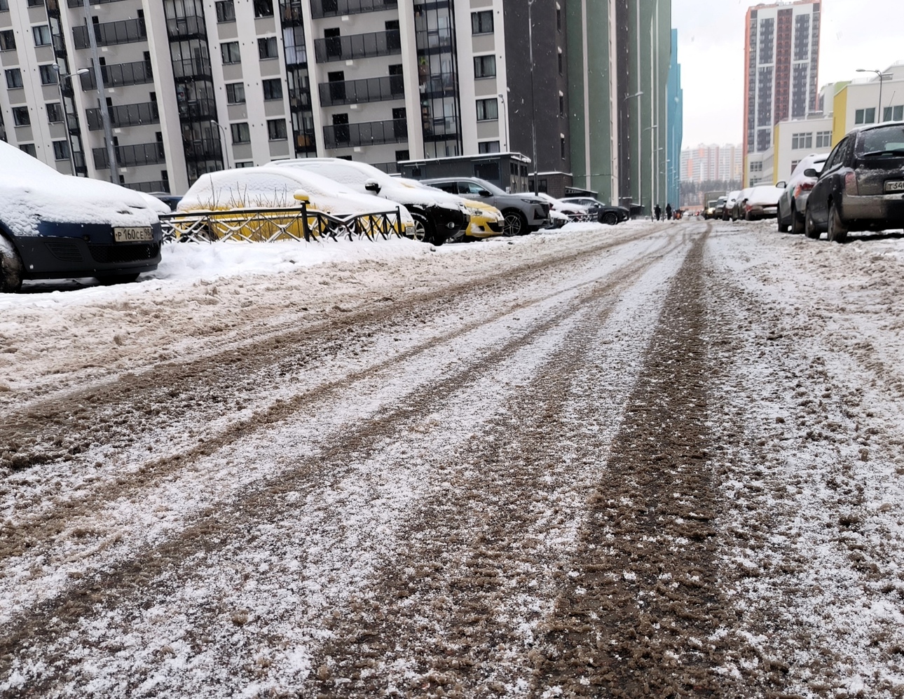 Фото Maksim Konstantinov/globallookpress.com