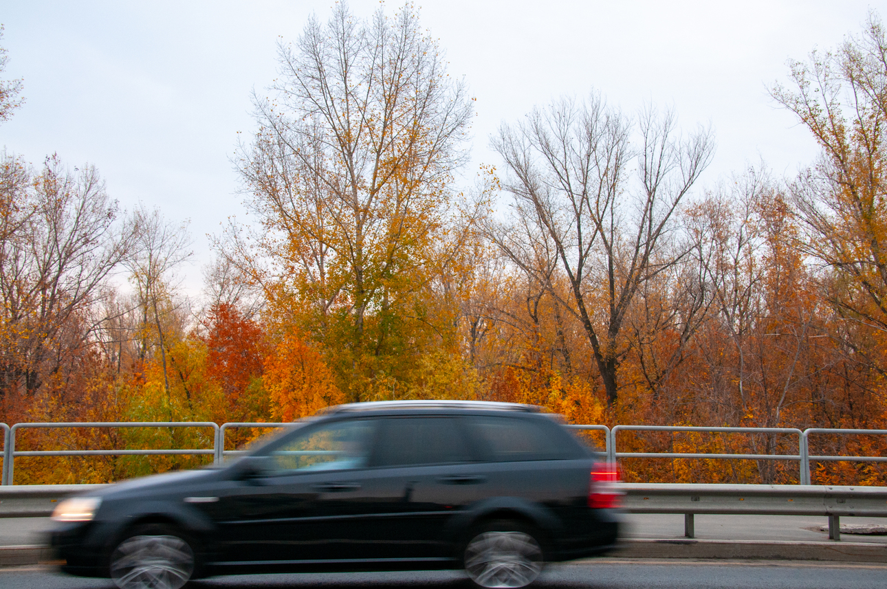 Фото Svetlana Vozmilova/globallookpress.com