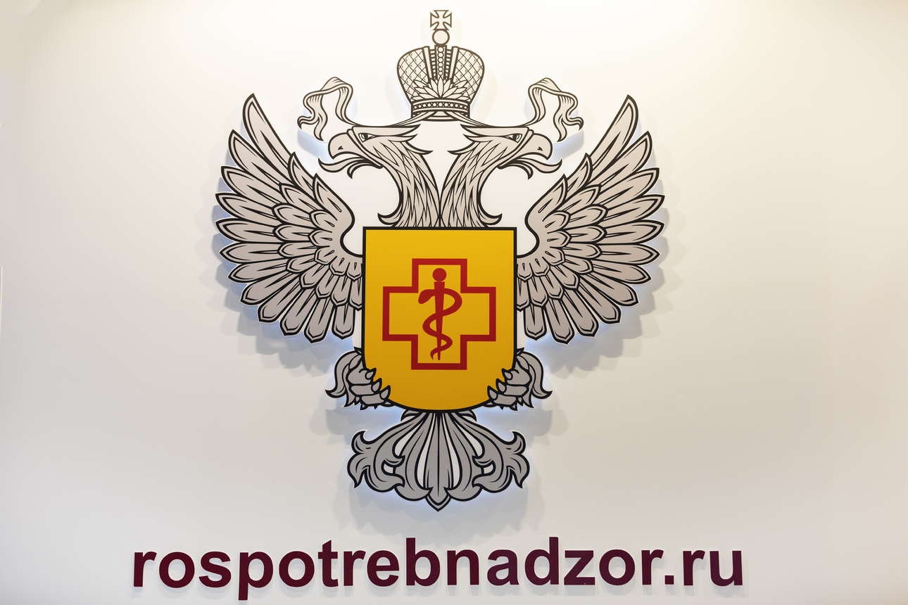 Фото Aleksey Smyshlyaev/globallookpress.com