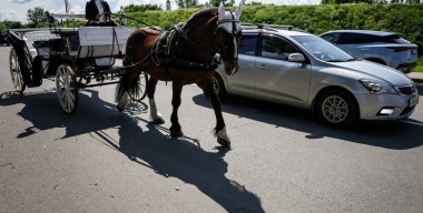 Пыль в глаза: почему «готовые идеи для автопутешествий» — это абстракция