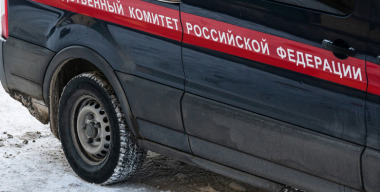 Водитель в маске пытался увезти чужих детей из школы в Воронеже
