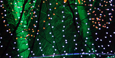 Гирлянды беды: почему не стоит украшать свою машину новогодней иллюминацией