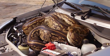 Фото: Whitehotpix/globallookpress.com