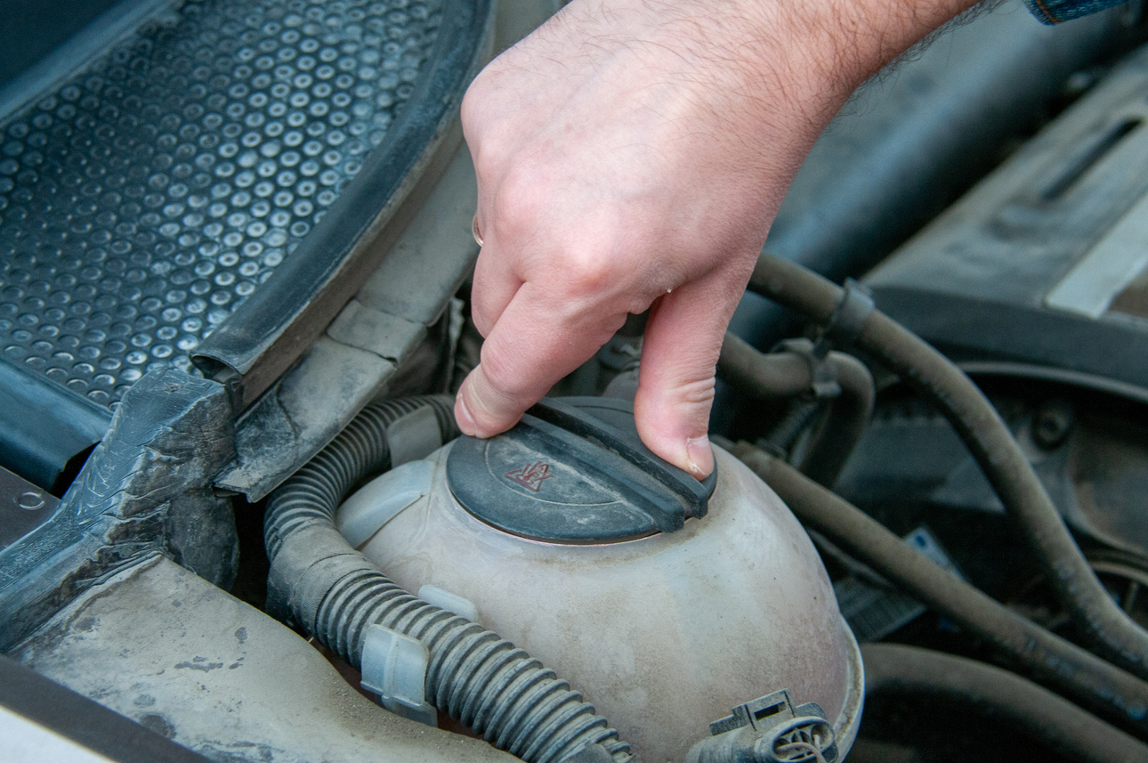 Фото: Svetlana Vozmilova/globallookpress.com