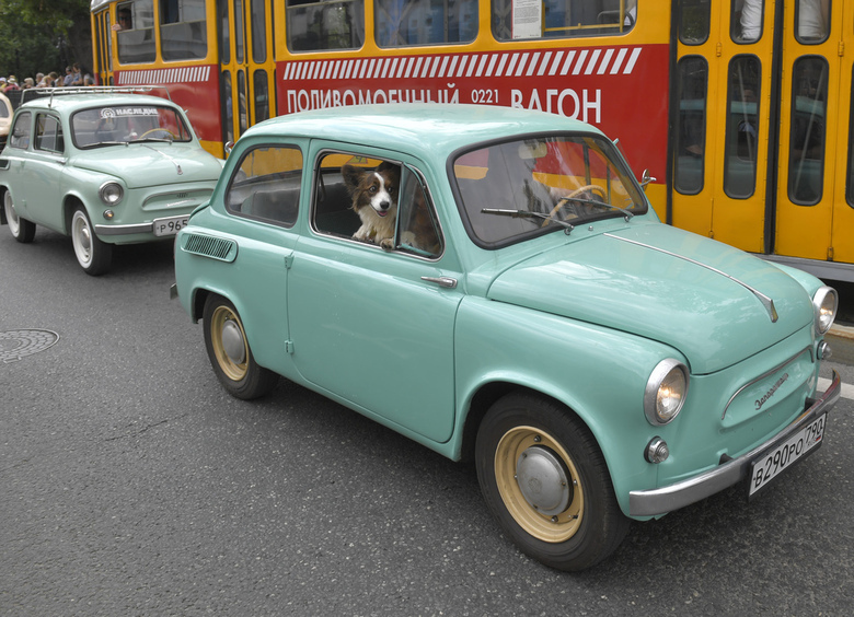 Изображение Коллекцию раритетных машин в Новокузнецке едва не отправили на утилизацию