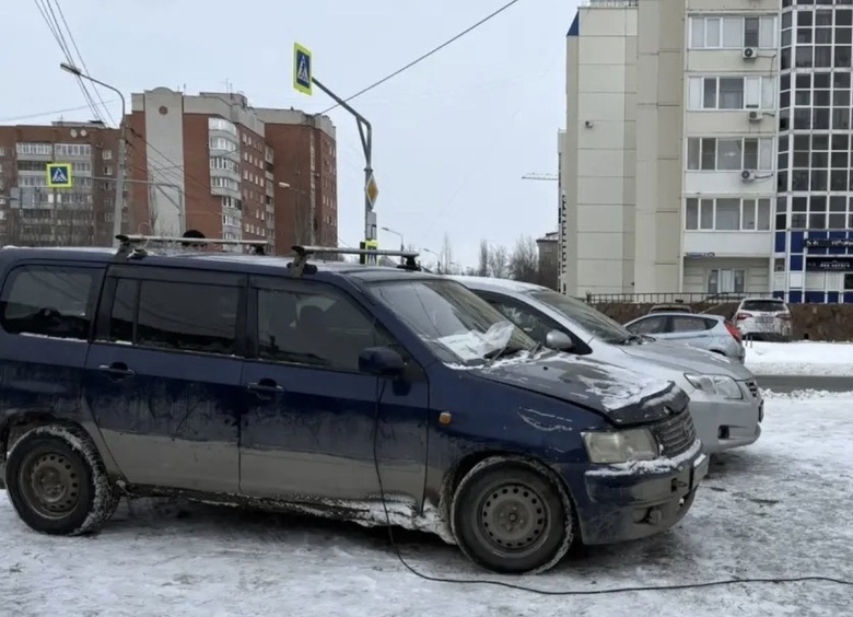 Изображение Продавец елок из Омска угнал автомобиль и врезался в дерево