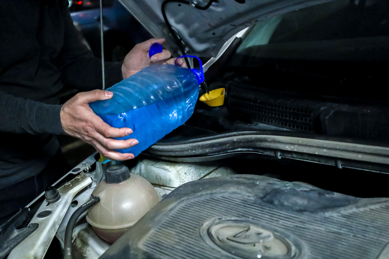 Фото: Elena Mayorova/globallookpress.com