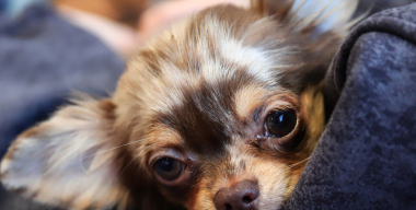 Фото: Razmik Zackaryan/globallookpress.com