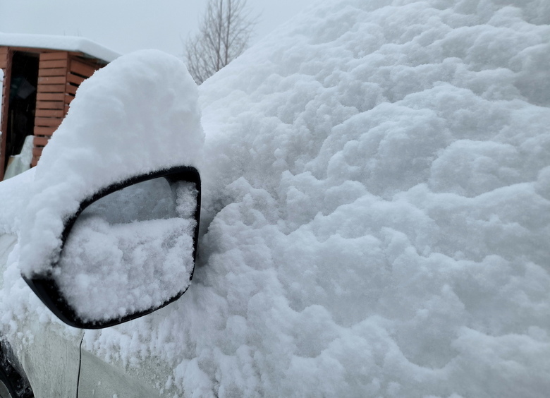 Изображение Лопата дороже золота: москвичи начали круто зарабатывать на снегопаде