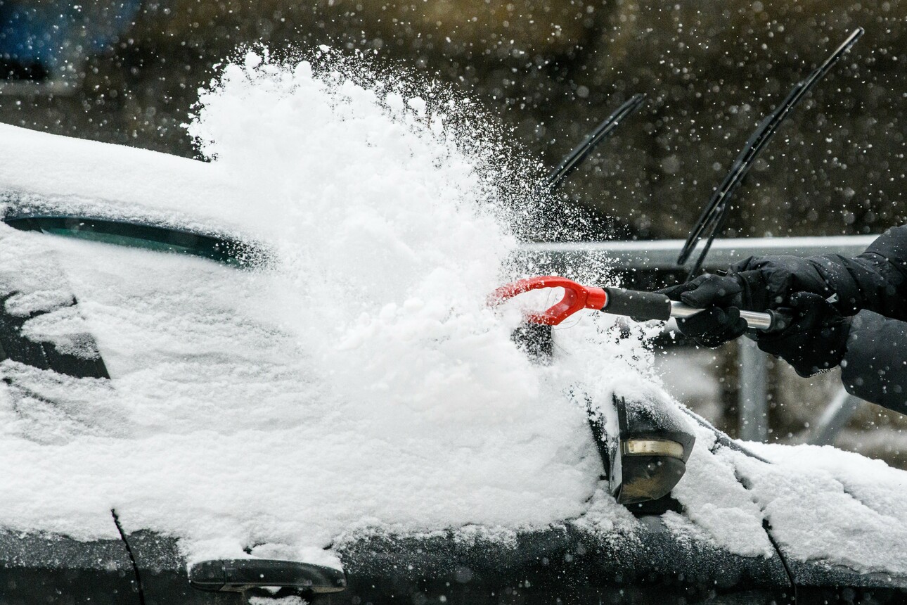 Фото Ilya Moskovets/globallookpress.com