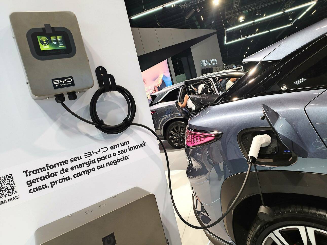 Фото Leandro Chemalle/globallookpress.com