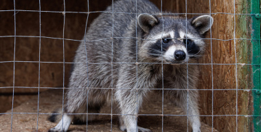 Фото: Sergey Elagin/globallookpress.com