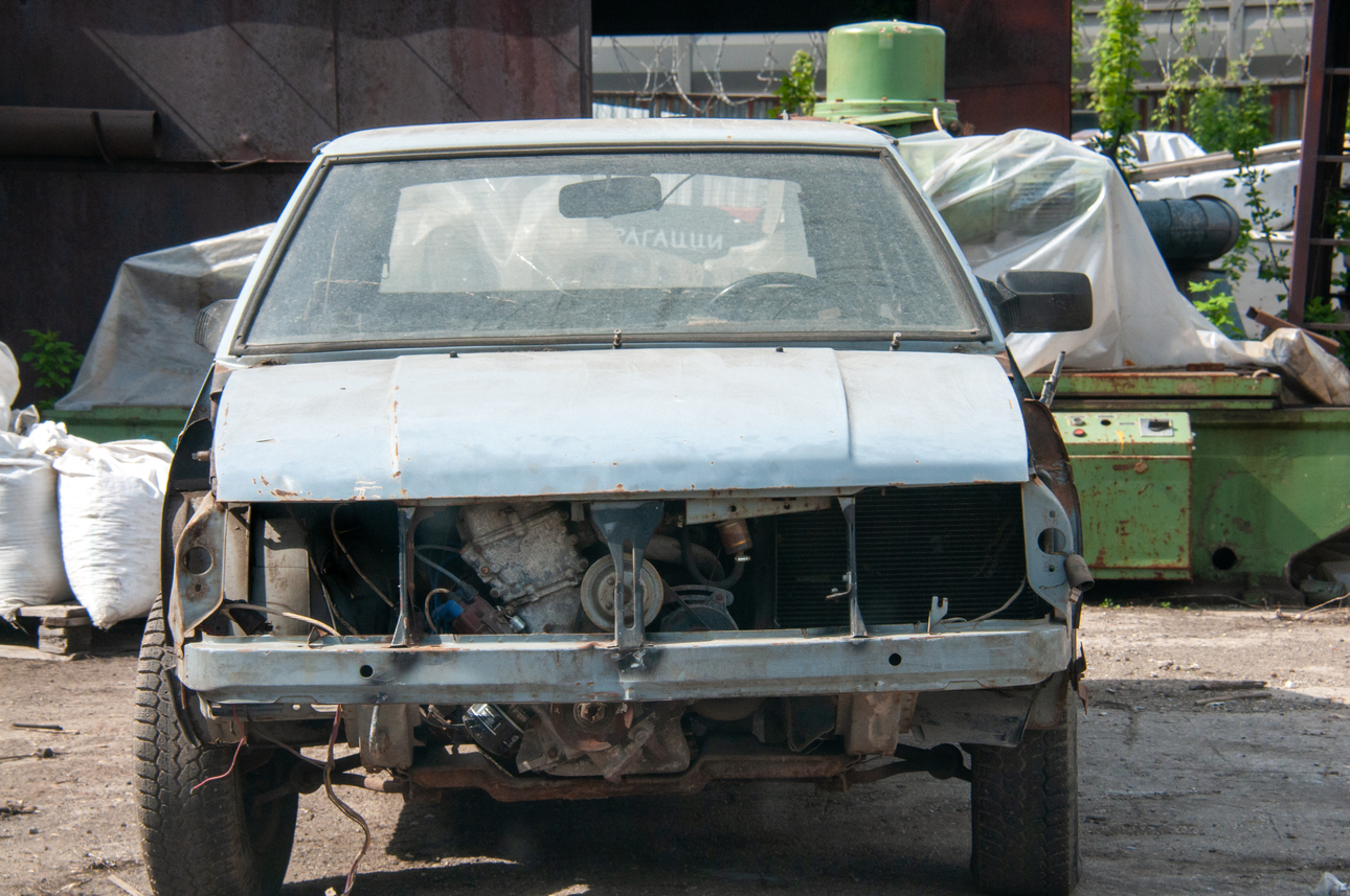 Фото: Svetlana Vozmilova/globallookpress.com