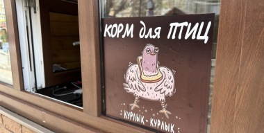 Жителя Петербурга лишили водительских «прав» из-за корма для попугаев