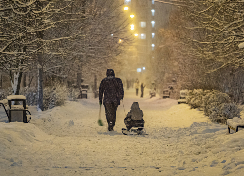 Изображение В Балашихе машина сбила девочку, которую везли на санках по пешеходному переходу